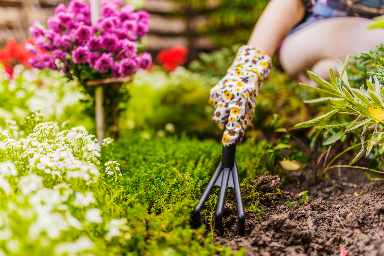 Gardening